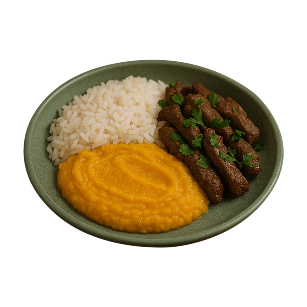 Carne em tiras, arroz branco e purê de cabotiá.png