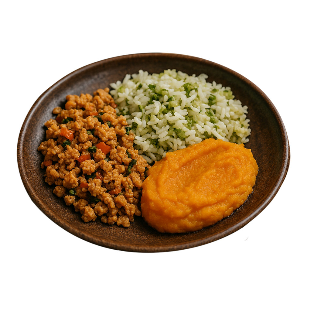Proteína de soja, arroz com brócolis e purê de cenoura.png
